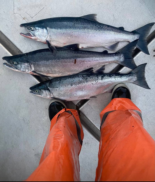 Prince William Sound Sockeye (10 lbs)